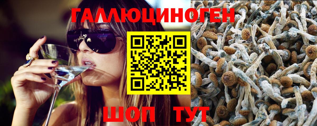 где можно купить наркотик  Псилоцибиновые грибы Psilocybine cubensis  Вход с VPN  Малоярославец 