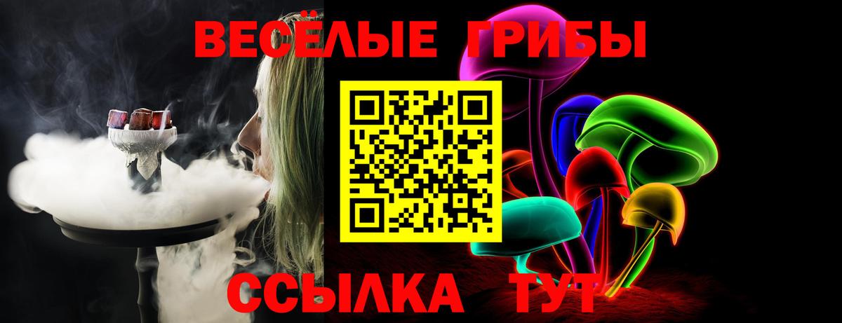 Галлюциногенные грибы прущие грибы Малоярославец